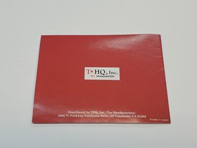 Home Alone Nintendo NES Box and Manual Only *