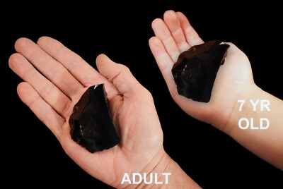 Black Obsidian Raw Rock Mineral Specimen Rough Root Chakra Healing Crystal Stone
