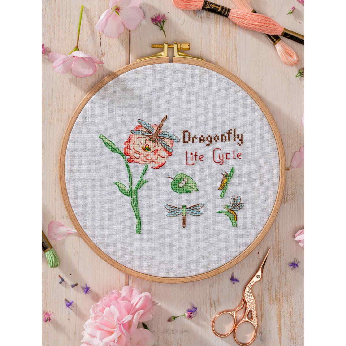 Anchor counted cross stitch kit ""Dragonfly Life Cycle"", 13x11cm, DIY
