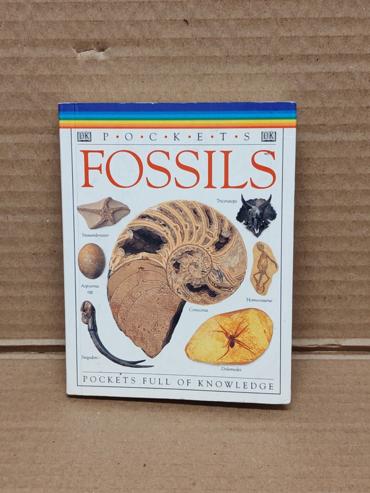 Pocket Fossils By Dorling Kindersley