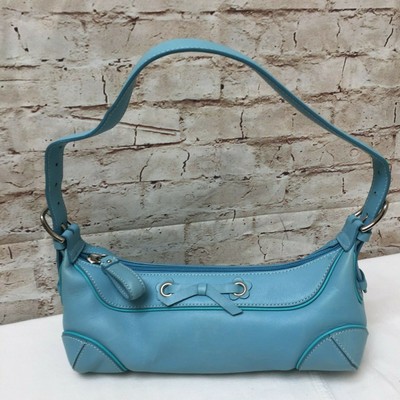 robin egg blue purse