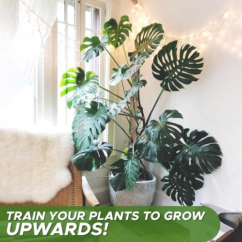 Moss Pole for Plants 27.5" inches (2 Pack) Monstera Plant Support for Plant - Picture 6 of 8