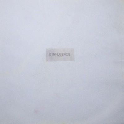 D'Influence - Shake It - Used Vinyl Record 12 - Promo - G12230z