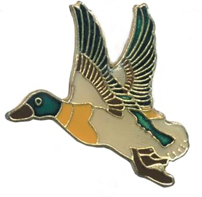 Pack of 6 Flying Duck Wings Bike Motorcycle Hat Cap Lapel Pin HP29