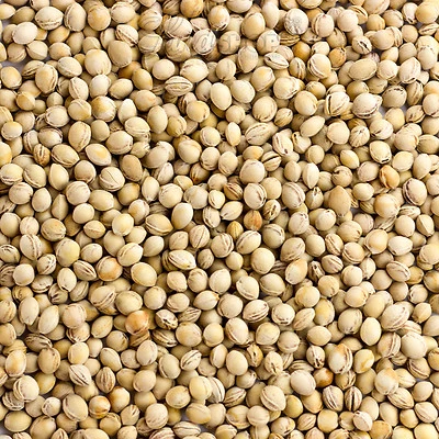 LANDWIESEN 10 kg Kirschkerne Kirschsteine lose ohne Chemie gereinigt thermisch getrocknet