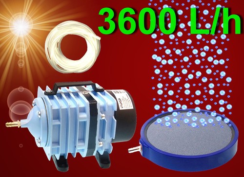 Teich Aquarium ️3600 L/h KOMPRESSOR 20cm BELÜFTERPLATTE ️ Zubehör
