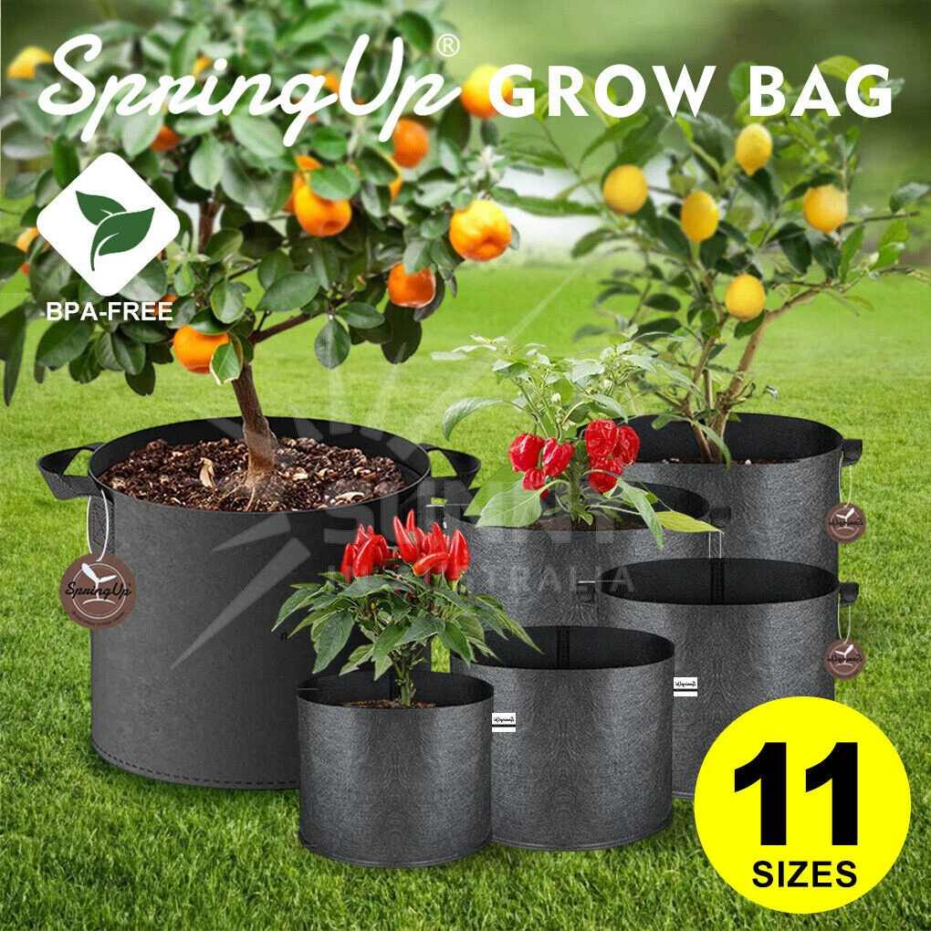 Discover 133+ potato growing bags bunnings best kidsdream.edu.vn