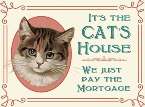 It's the cat's house we just pay the mortgage Funny Novelty Fridge Magnet - Picture 1 of 1