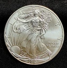 2013 - American Silver Eagle - BU- .999 - (L545)