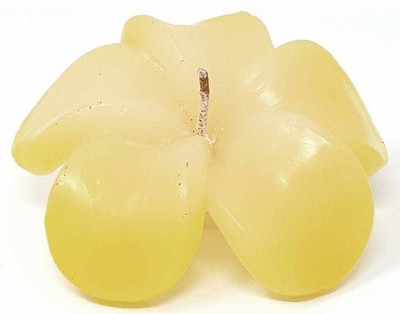 Frangipani Scented Orchid Floating Candle 7.5 X 3CM Deco Table Gift