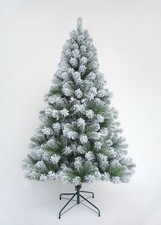 Image of Christmas Tree Xmas Colorado Spruce 4ft 5ft 6ft 7ft 8ft or 10ft Free Delivery