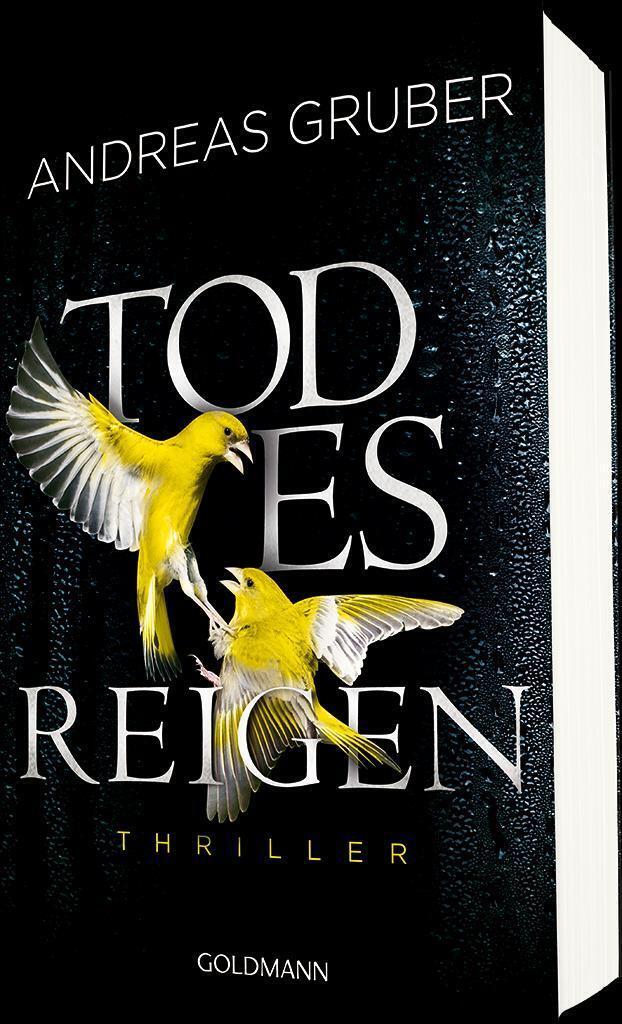 Thumbnail - Todesreigen | Maarten S. Sneijder Und Sabine Nemez 4 - Thriller |