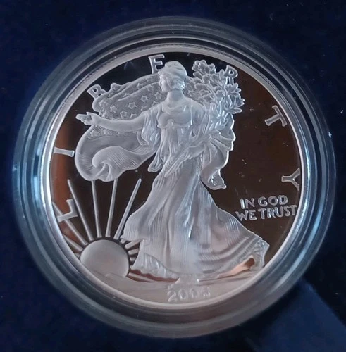 2006-W American Silver Eagle — photo from the most recent tracked eBay sale