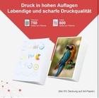 Bild 6 von 7