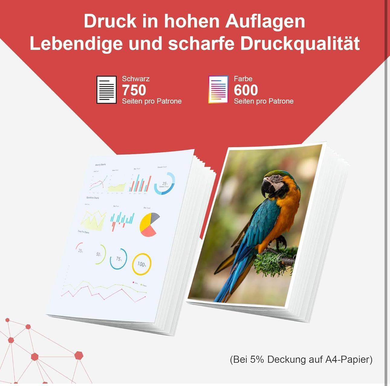 Bild 6 von 7