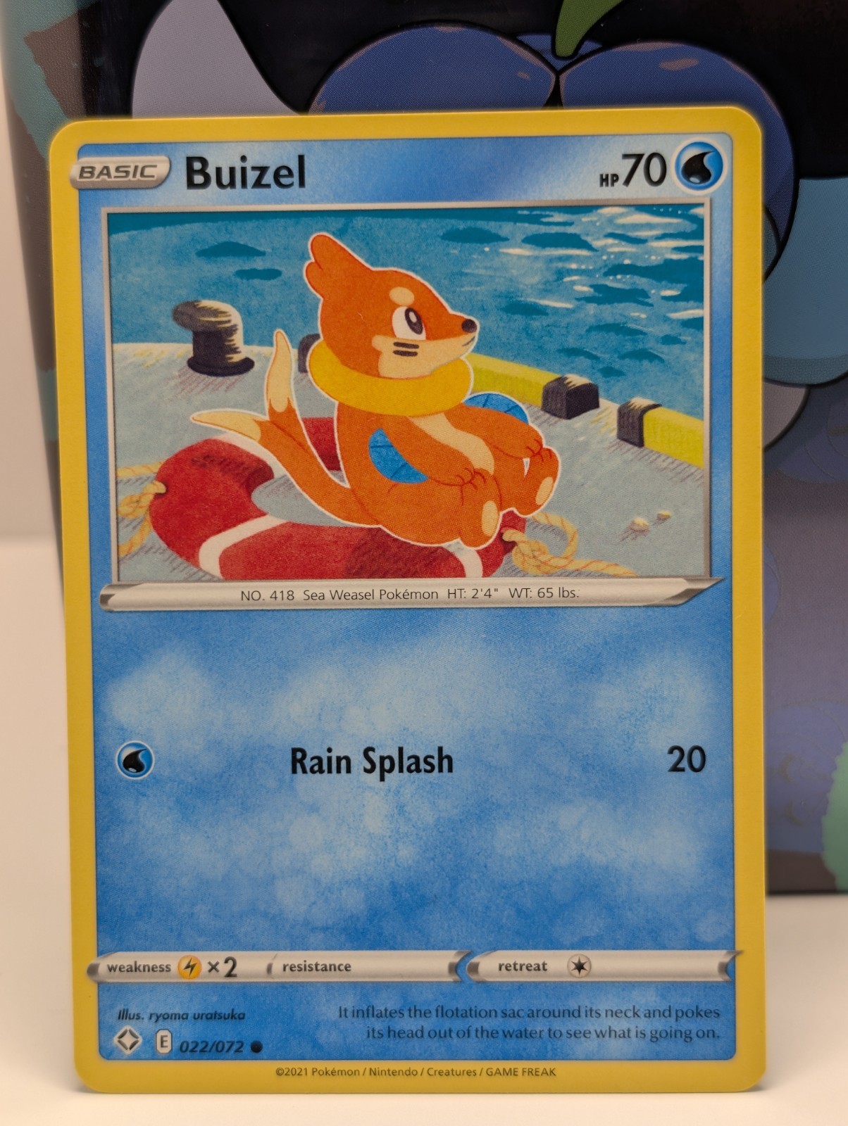 Pokemon TCG Buizel (22/73) Shining Fates COMMON - NM