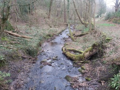 Foto A3 Birkley Burn von der Steinfußgängerbrücke südlich von Acomb Acomb \/NY c2015