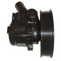 Hydraulikpumpe Lenkung Lizarte 04.05.1030-4 FüR Ford Fiesta IV Courier