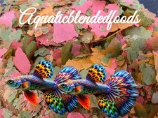 Guppy Flake, Guppy Food,Guppies,Tropical Fish, Endlers,most small Fish,ABF306