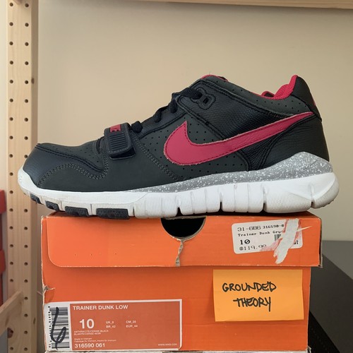 nike trainer dunk low