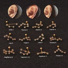 Twelve Constellation Earring - Stainless Steel CZ Stud Ear Piercing Jewelry 1PC