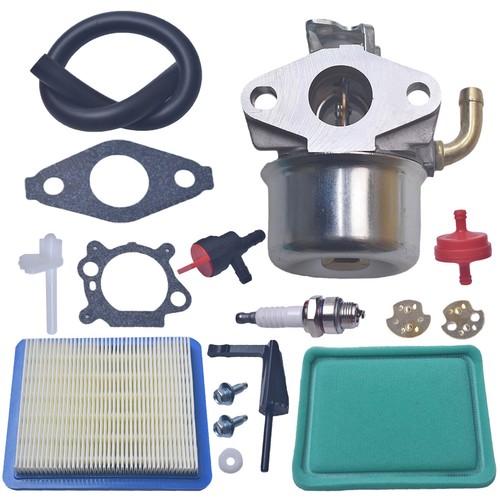 CARBURATEUR POUR MOTEUR Briggs & Stratton B&S Série 850 215434 EUR 16