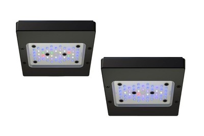 Ecotech Marine Radion XR15 G6
