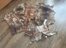 Real Red Fox Fur & 5 Pieces Animal Fur Ideally for Craft Projects