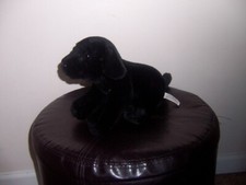 Animal Alley black lab plush stuffed animal