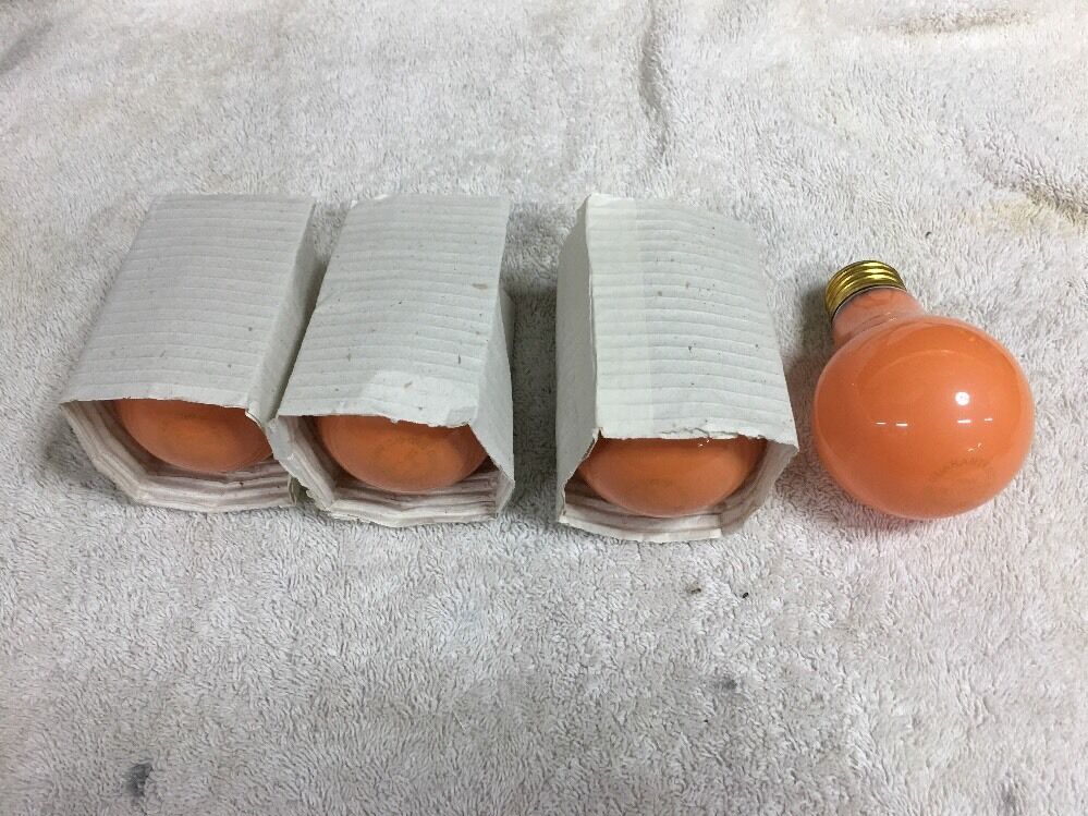 Foto 1 di 5