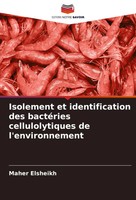 Maher Elsheikh | Isolement Et Identification Des BactéRies Cellulolytiques De...