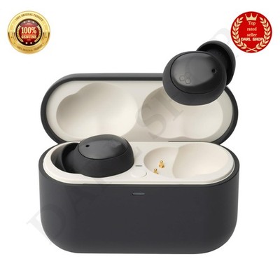 final ZE500 for ASMR ダークグレー final ZE500 for ASMR Wireless Earbuds for Sleeping Dark Gray New