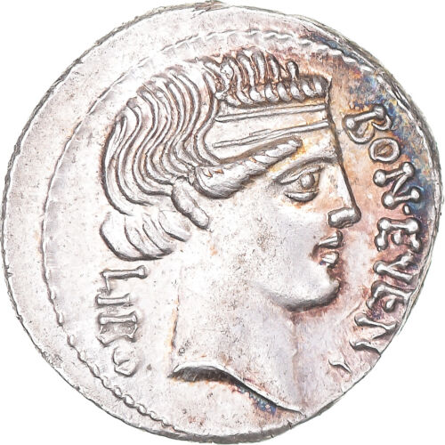 [#1068640] Pièce de monnaie, Scribonia, Denarius, 62 av. J.-C., Rome, MS, Argent, Crawford : 416/1, b - Photo 1/2