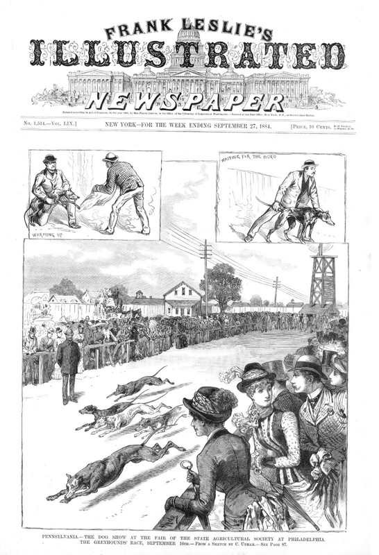 The Dog Show at the Fair  in Philadelphia, Pa. - The Greyhounds' Race -  1884   