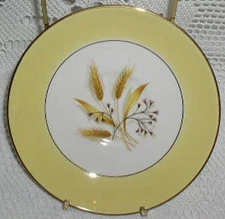 Century Service Corp Autumn Gold Saucer cup Plate