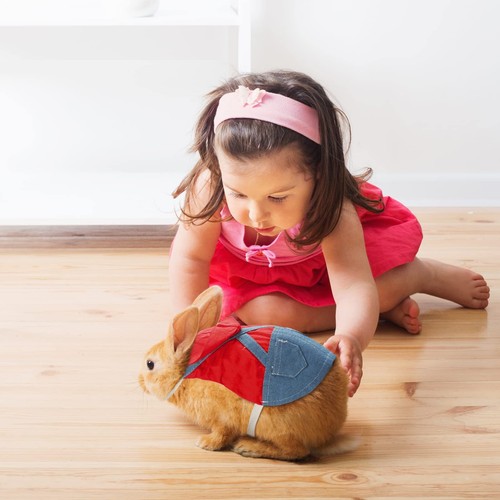 Small Red Rabbit Harness and Leash Set for Bunny Kitten Puppy Walking - Picture 4 of 6