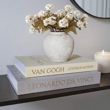 Decorative Linen Book Set of 2, Faux Book Storage Box, Coffee Table and Books...