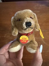 Vintage Steiff Dachshund Waldi With Red Collar And Tags Made In Germany
