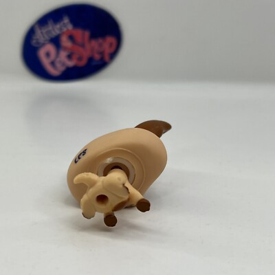 Littlest Pet Shop Chihuahua #2048 - Hasbro - Occasion