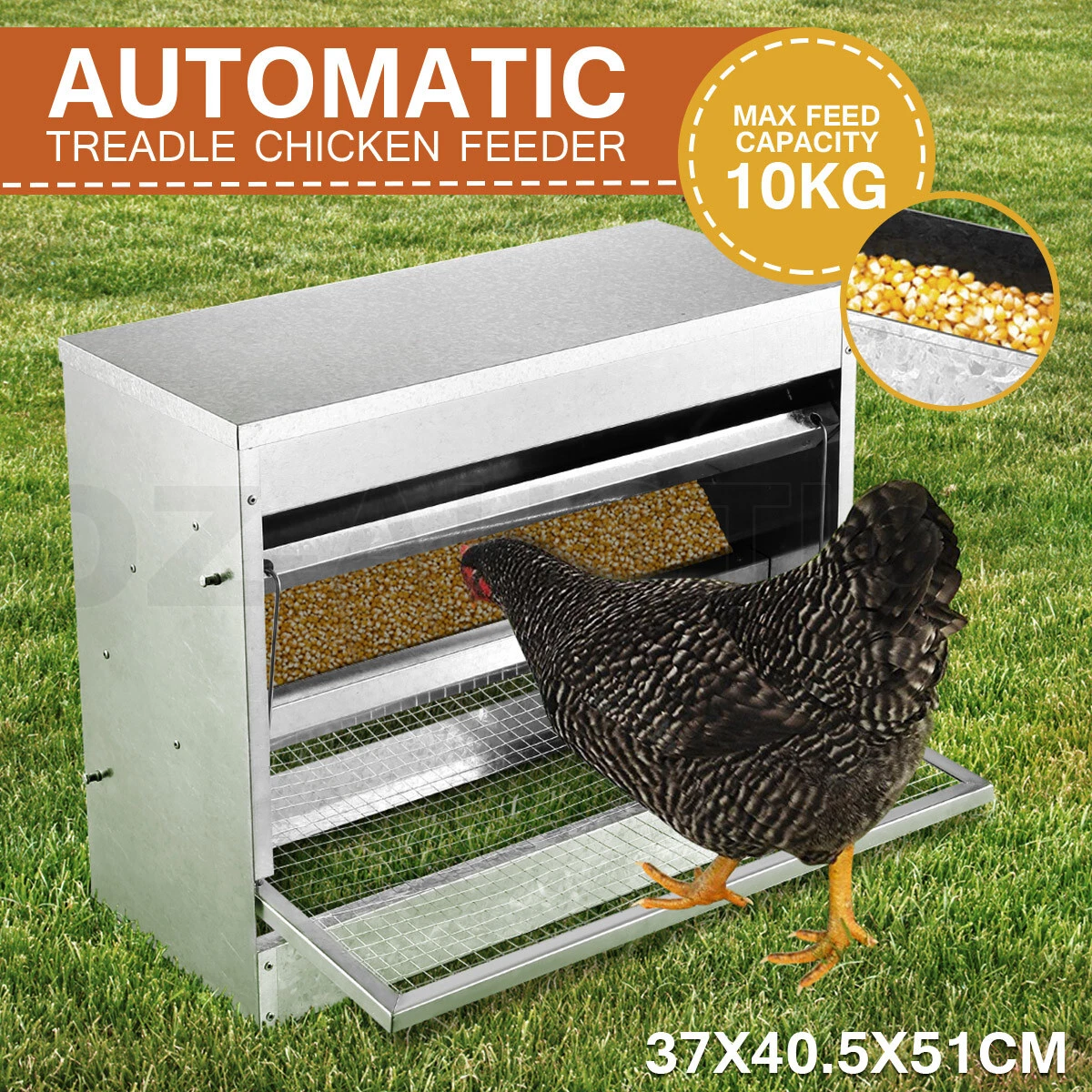 Chook feeders ebay cheap