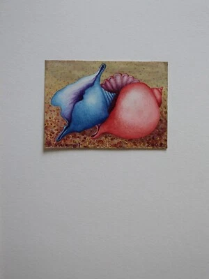 Aquarell Gemälde Muschelpaar blau rot Barbara Kraemer Signiert Datiert  2002 - Bild 1 von 4