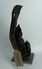 15H  Unique Dark Driftwood Mounted To Slate Natural Aquarium Plant Art