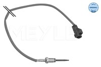 Abgastemperatursensor Ford Ranger 2.2TDCI 15-