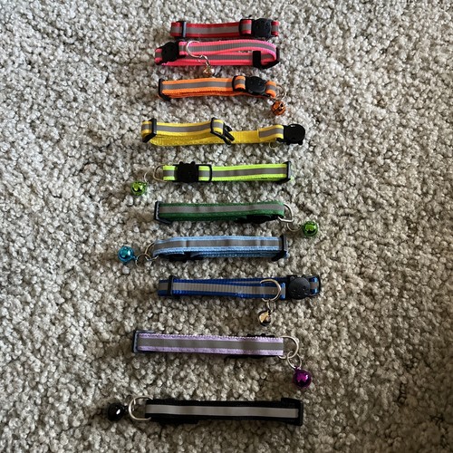 10 Kitten & Cat Collars - 第 1/3 張圖片