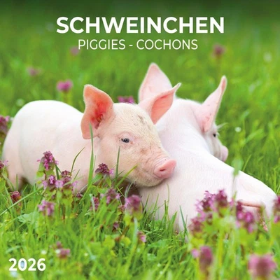 TUSHITA PAPERART GMBH Schweinchen/Piggies 2026