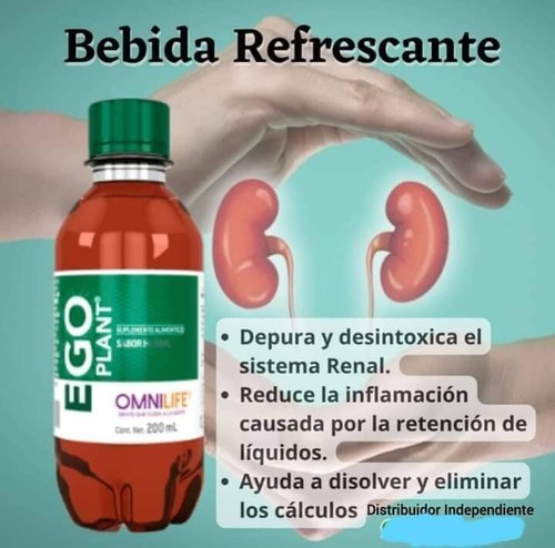 Ego plant cuida tus riñones el original omnilife,pack 20 bottles herbal natural