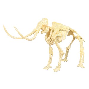 dino skeleton toy