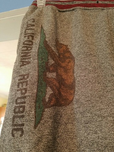 BROOKLYN CLOTH MFG REPUBLIC CALIFORNIA BEAR FLAG SWEATPANTS SHORTS BOYS XL 18-20 - Picture 2 of 10