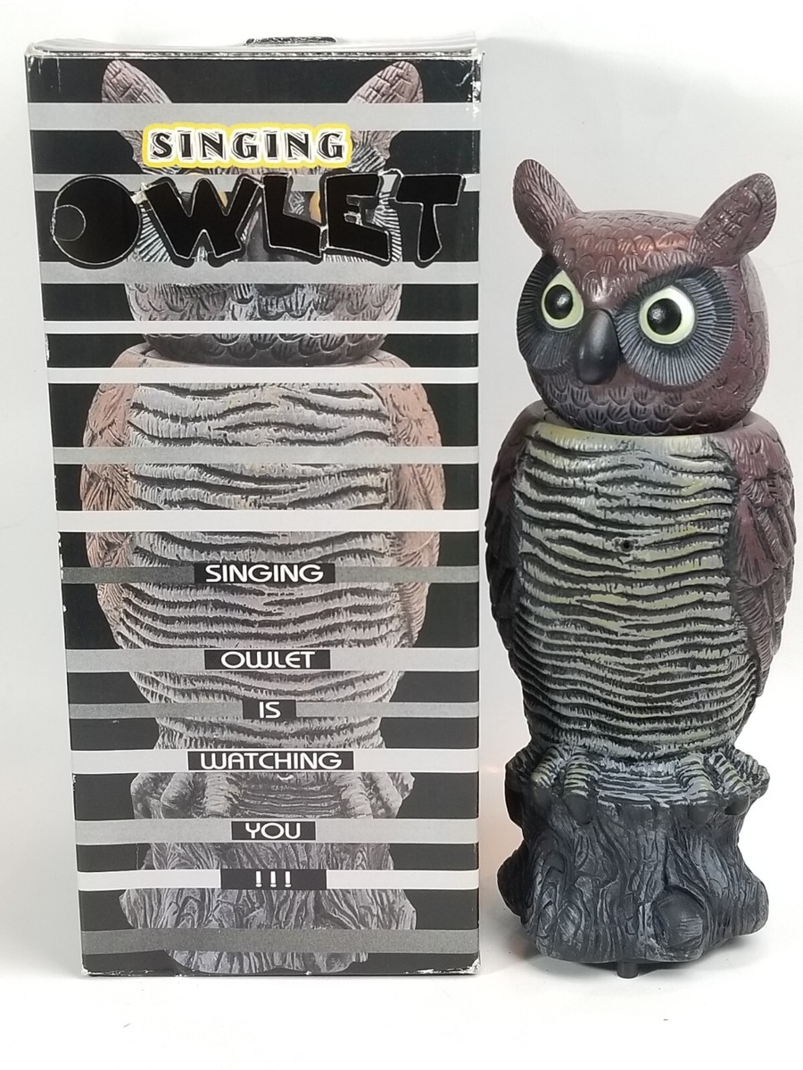 MSR IMPORTS Singing Motion Activated Owlet - 190707 | eBay