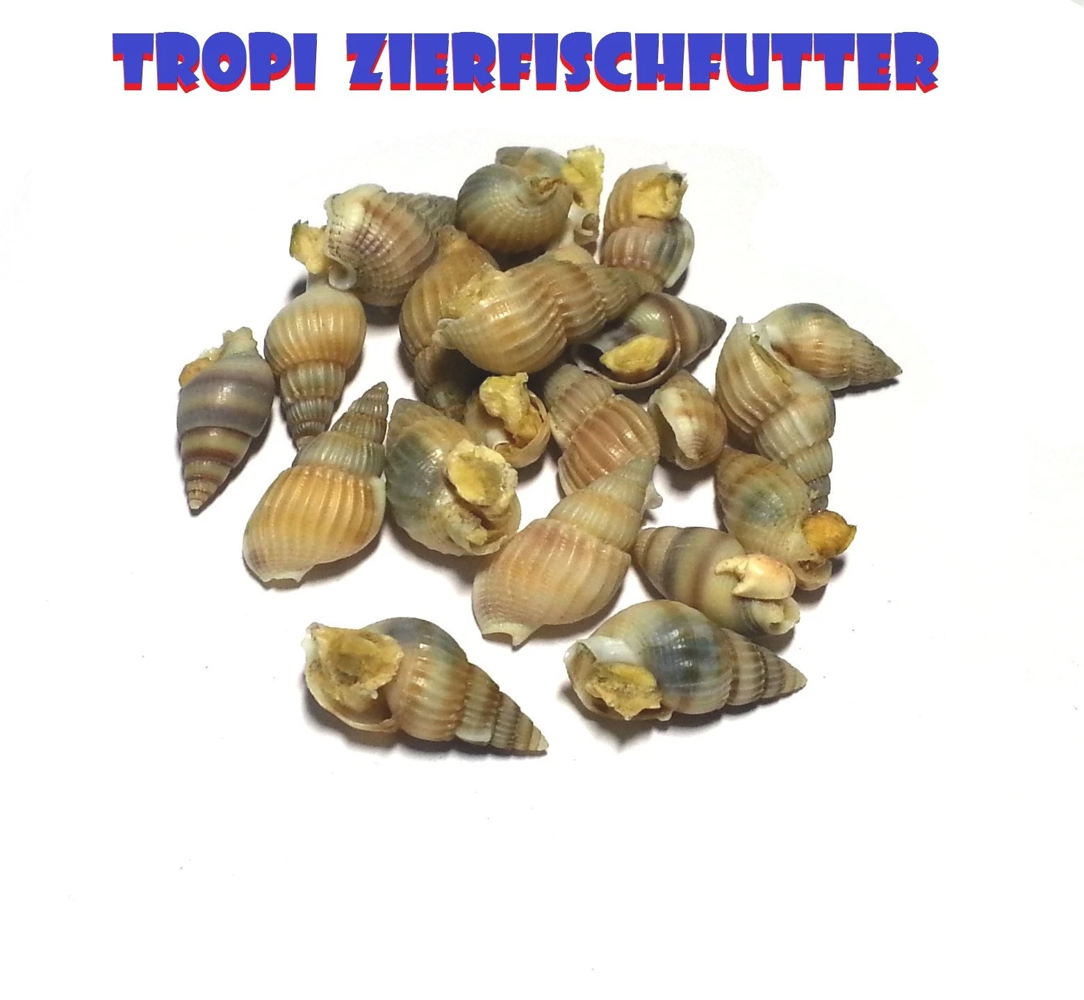 Bild 1 von 2